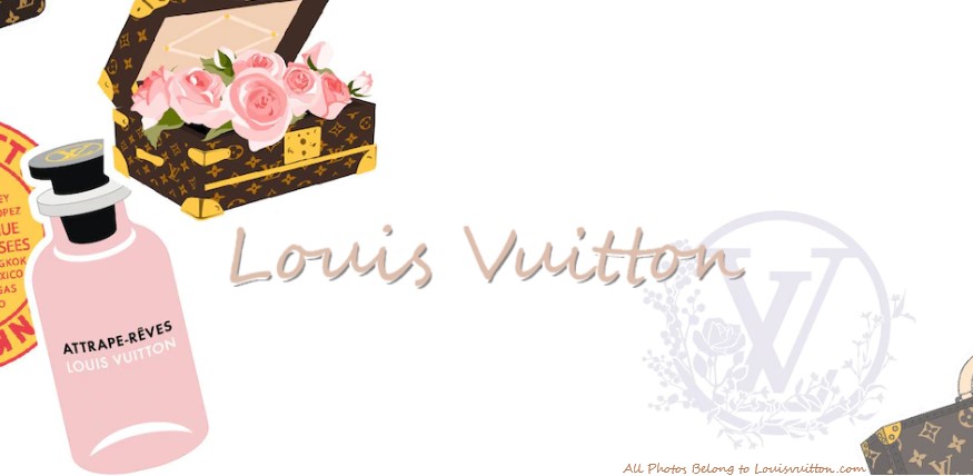 Louis Vuitton Iéna MM- Questions Answered 